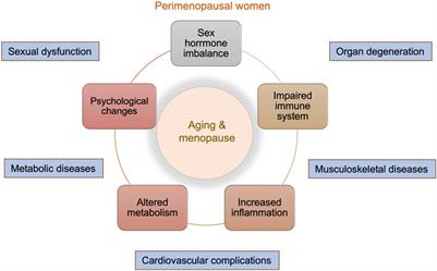 “Adipose-derived mesenchymal stem cell therapy for the management of female sexual dysfunction: Literature reviews and study design of a clinical trial”